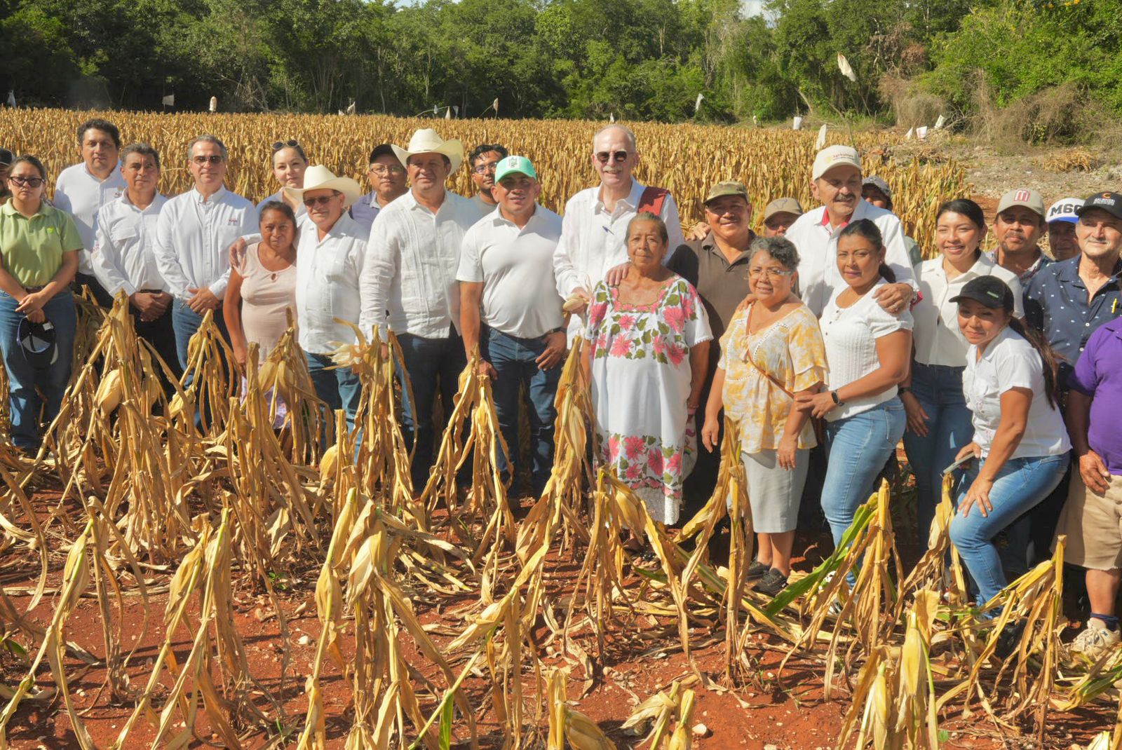 AGRICULTURA y Gobierno de Yucatán refuerzan sanidad pecuaria contra el gusano barrenador del ganado y a favor de la productividad rural