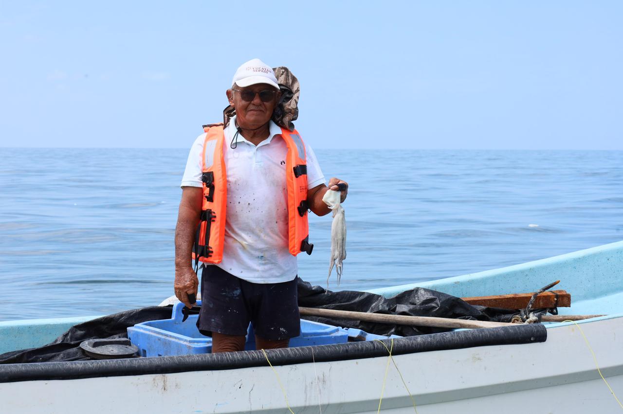 Costa yucateca cierra exitosa temporada de pulpo