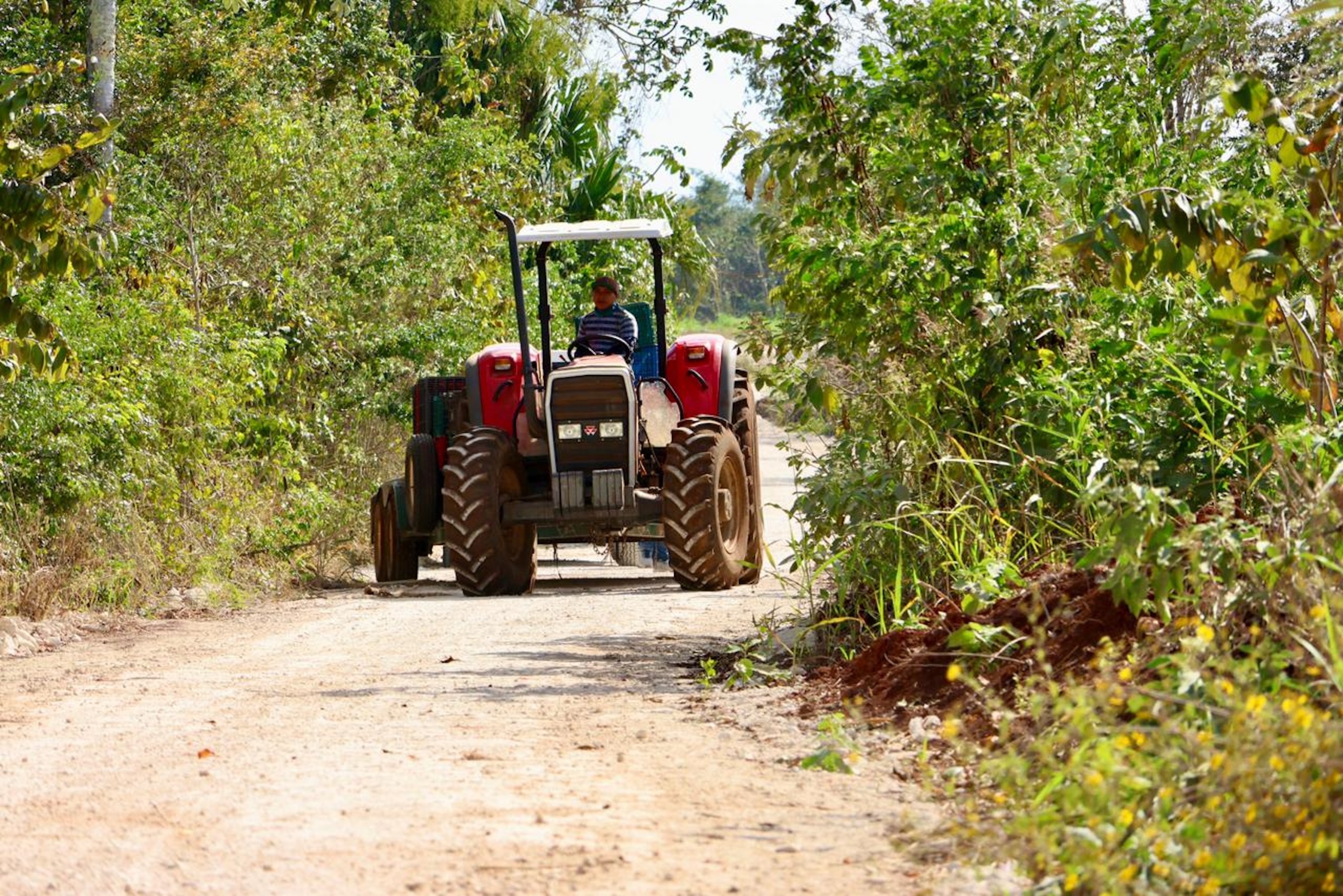 Caminos Renacimiento impulsa la movilidad productiva en Tizimín